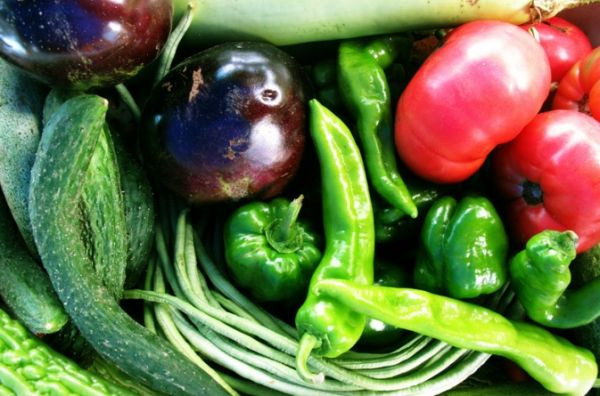 大學博士女做農夫 小毛驢農園送菜上門