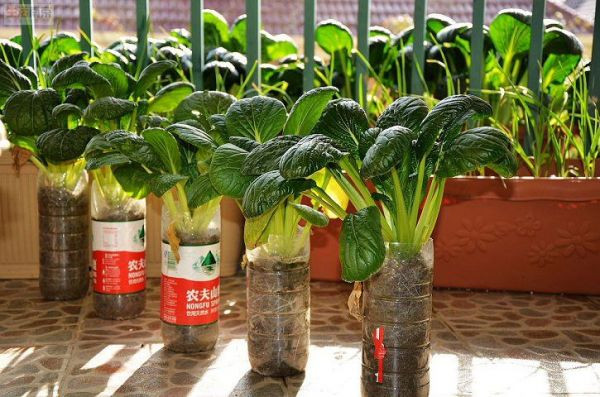 你棄我取，廢品換菜撐環保