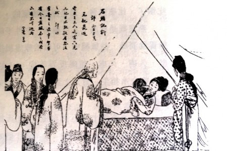讀紅樓談養生