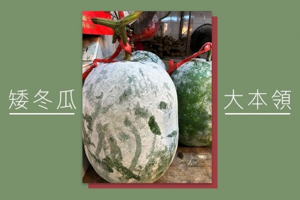 矮冬瓜大本領