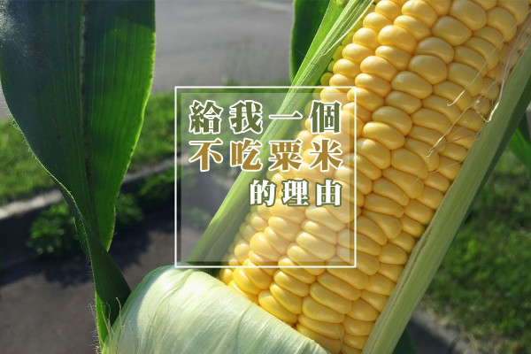 給我一個不吃粟米的理由