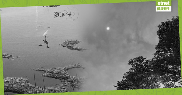 【50+自在小日子】成為別人生命中的一陣風