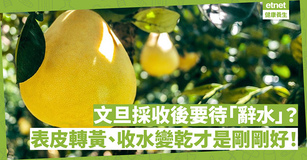 【路路笑談中】 靜待的藝術 