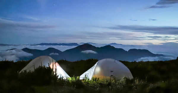 台高山資源豐沛，登山深度遊學問多