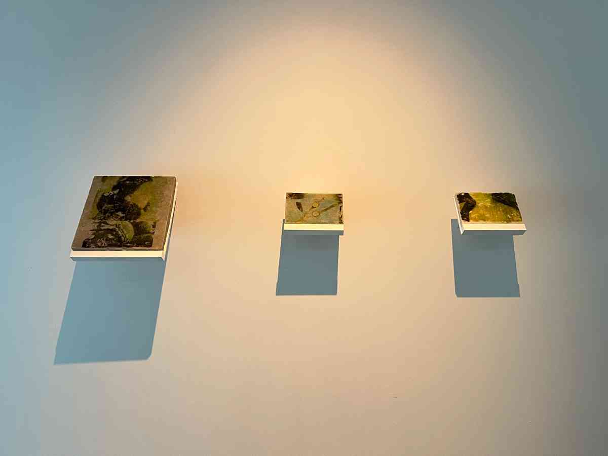 徐皓霖個展「倒睫」：規範之外的存在，如何撼動所謂的常規？