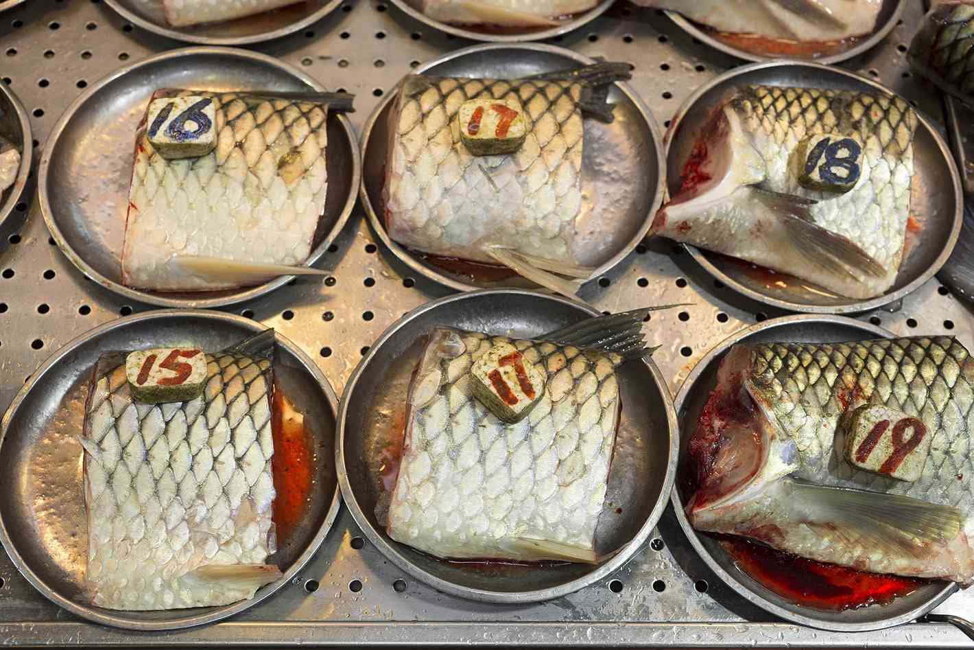 樸實無華的赤裸社會&mdash;&mdash;Martin Parr 的紀實攝影美學