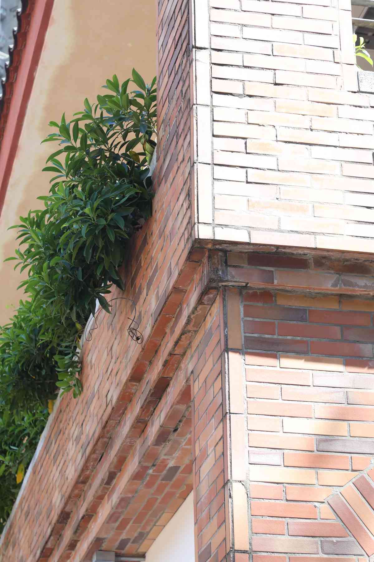 香港建築前輩的4堂課|江焯勳 以心建家 香港建築前輩的4堂課|江焯勳 以心建家