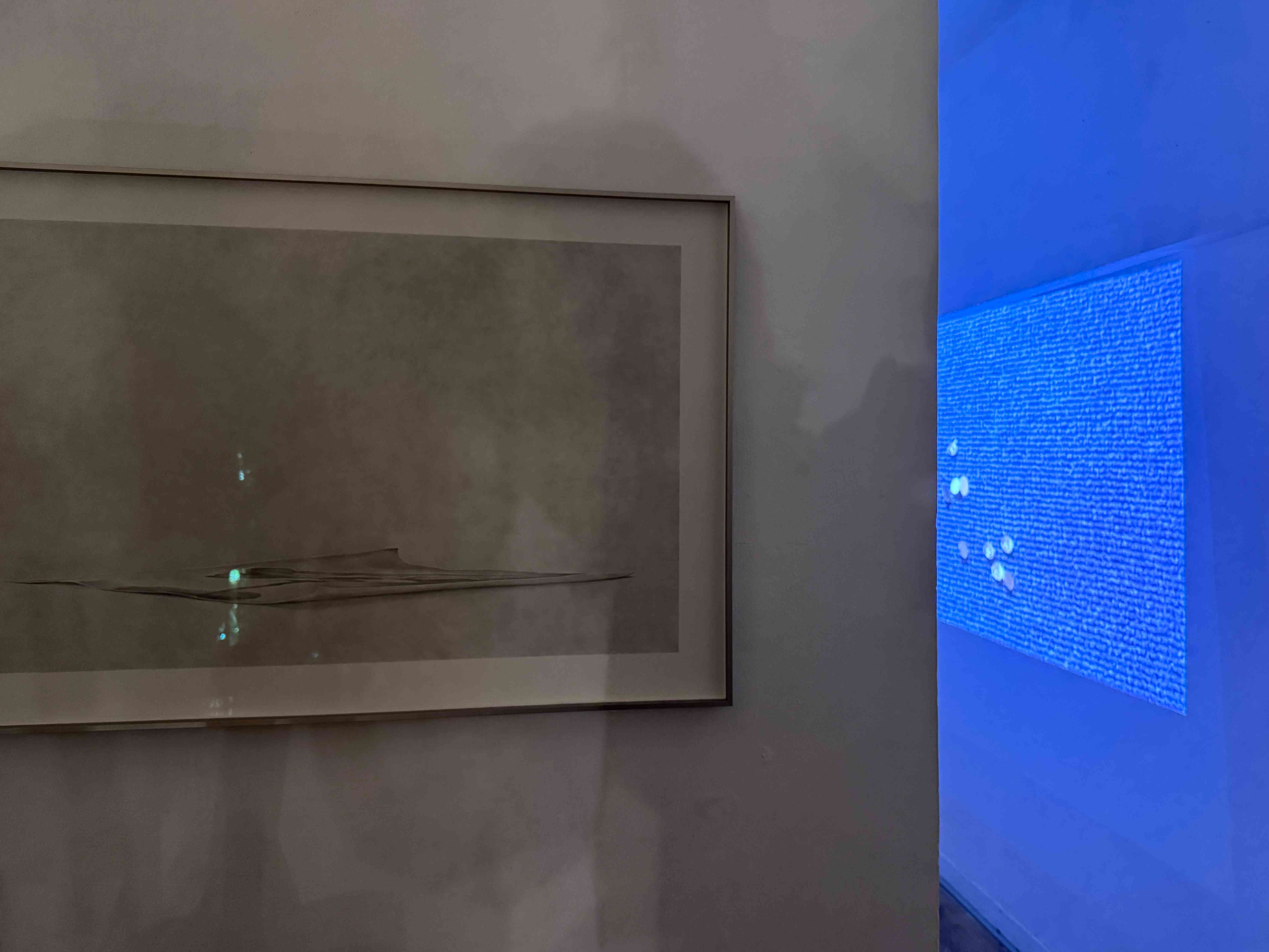 藝術家雷恩兒個展「白日舞廳」：就像薛丁格的貓一般，一切都存在於未知之中