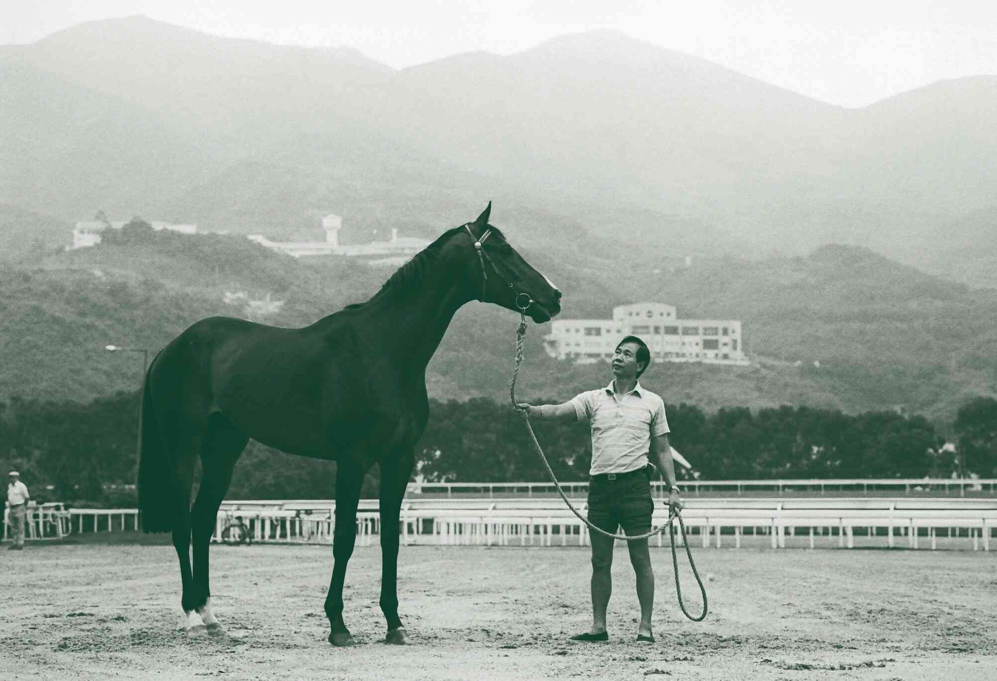 馬年蹄印與城史年輪：回顧一代代香港馬王的傳奇