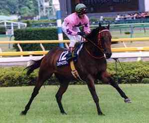 馬年蹄印與城史年輪：回顧一代代香港馬王的傳奇