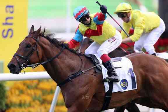馬年蹄印與城史年輪：回顧一代代香港馬王的傳奇