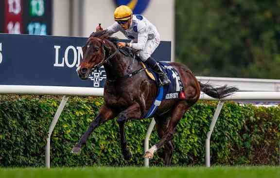馬年蹄印與城史年輪：回顧一代代香港馬王的傳奇
