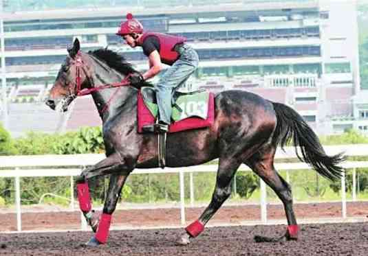 馬年蹄印與城史年輪：回顧一代代香港馬王的傳奇