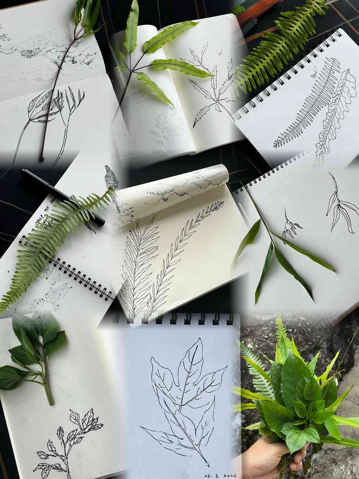 藝術三月：丹青舍寫生墨旅&mdash;&mdash;桃花湖上以心為筆，渲染五感