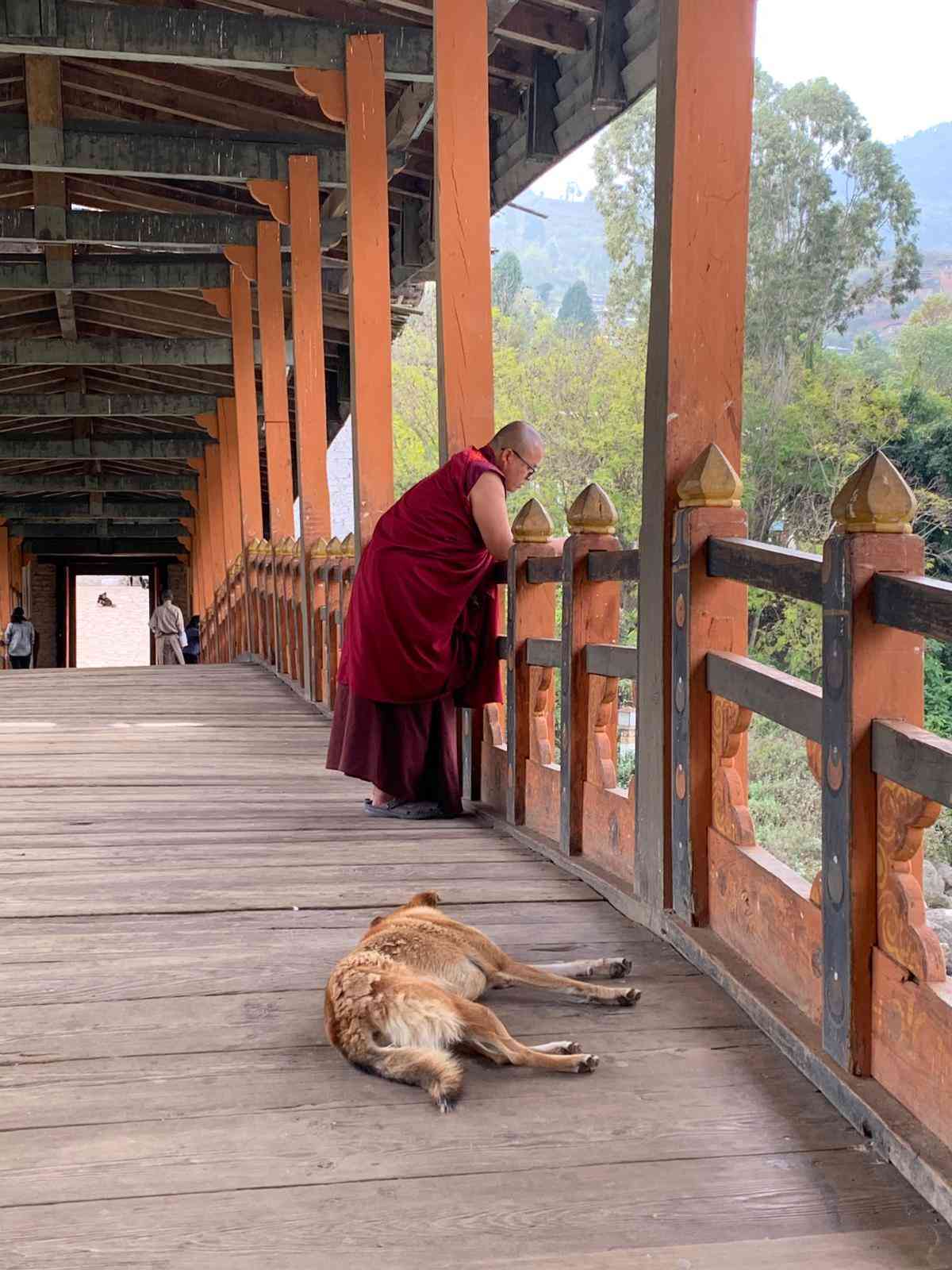 不丹舊都普納卡：見證奇特又真實的文化信仰，看王室比童話更浪漫的愛情故事