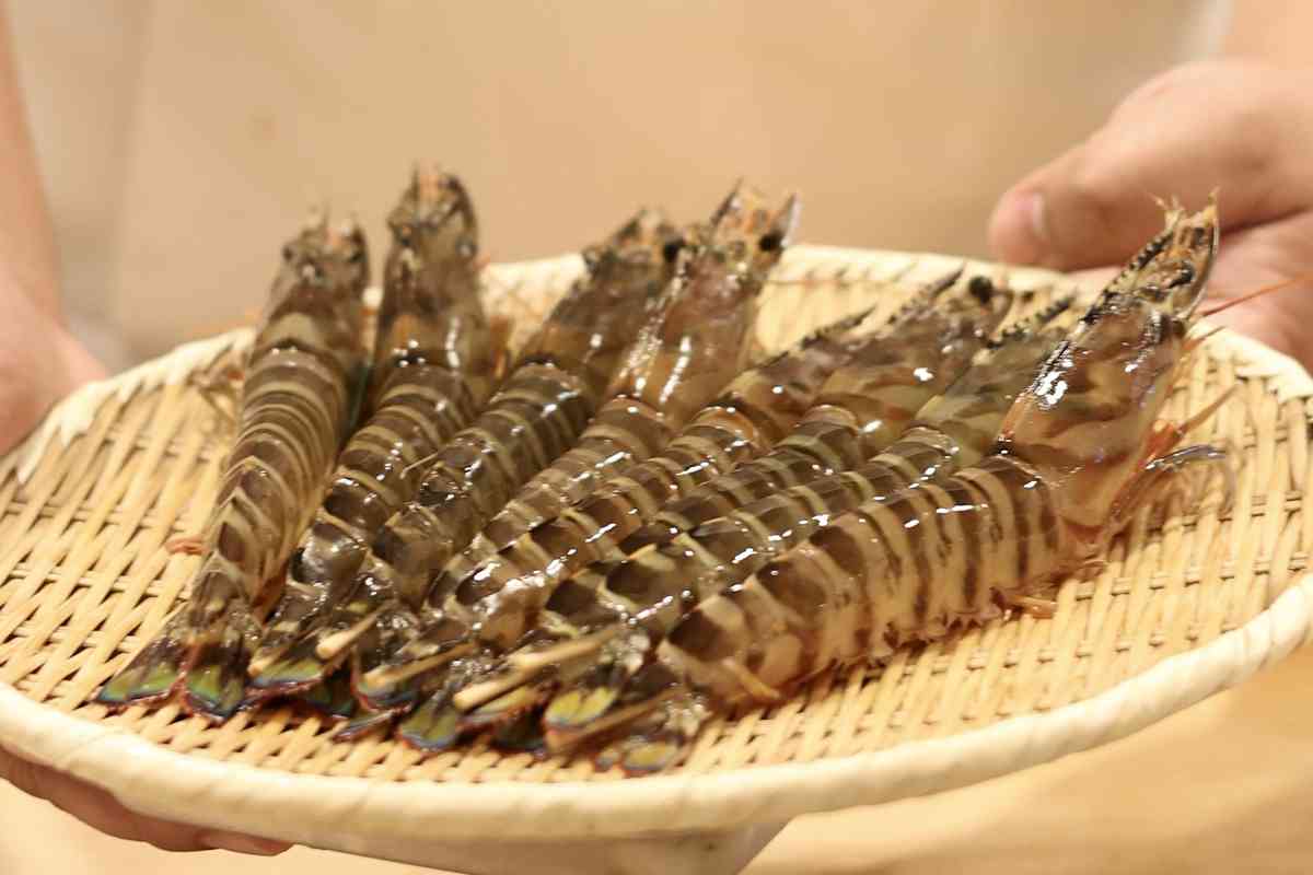 天后Omakase名店清酒Pairing晚宴！大閘蟹紹酒漬、乳鴿土鍋飯、蟬衣花膠，日藉職人匠心盛宴