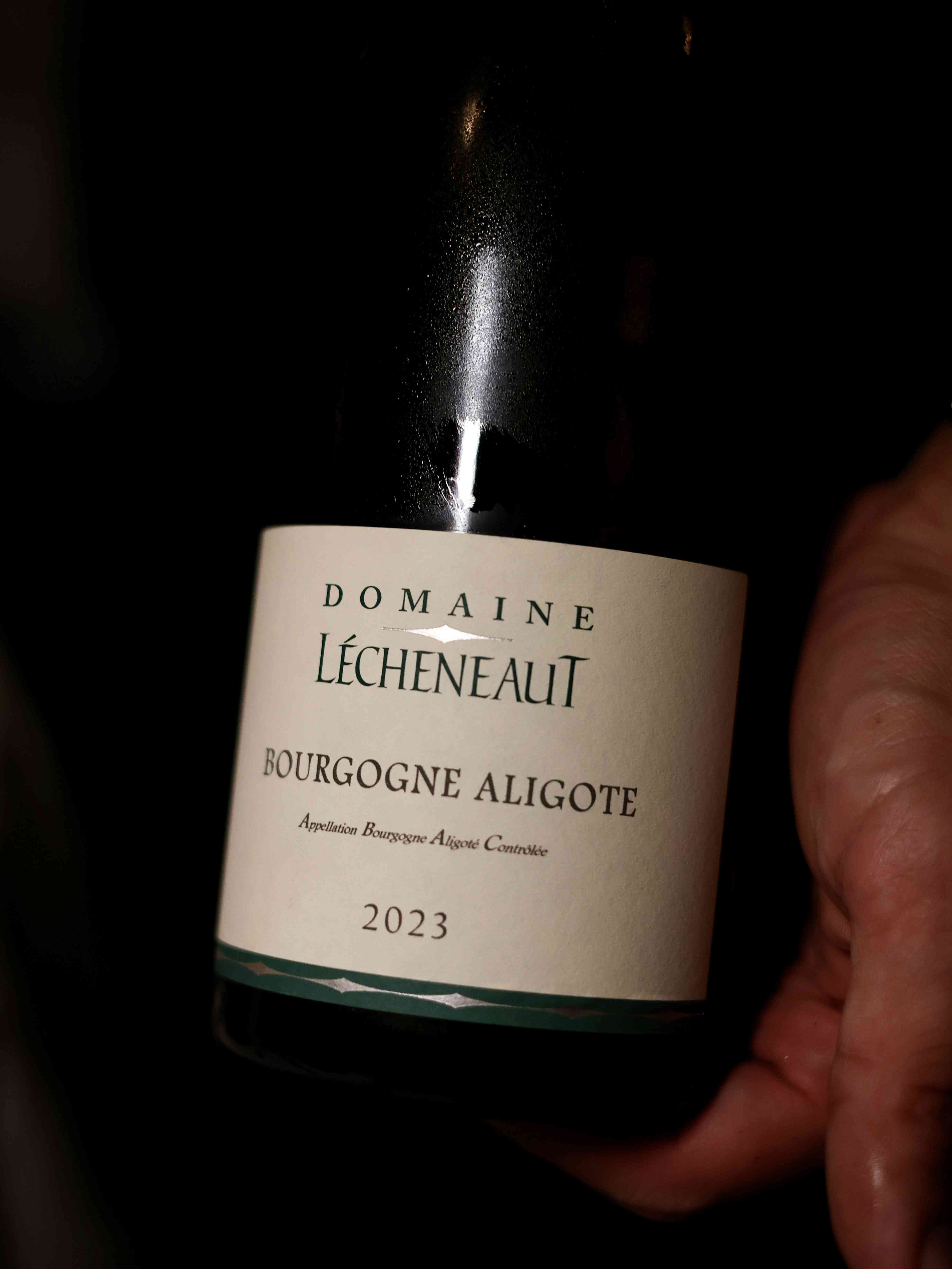 尖東高級中菜廳推出華麗金蠔宴！金蠔酥香焗大響螺、蜜餞金蠔配金蒜 M5 和牛，團年春茗的好選擇