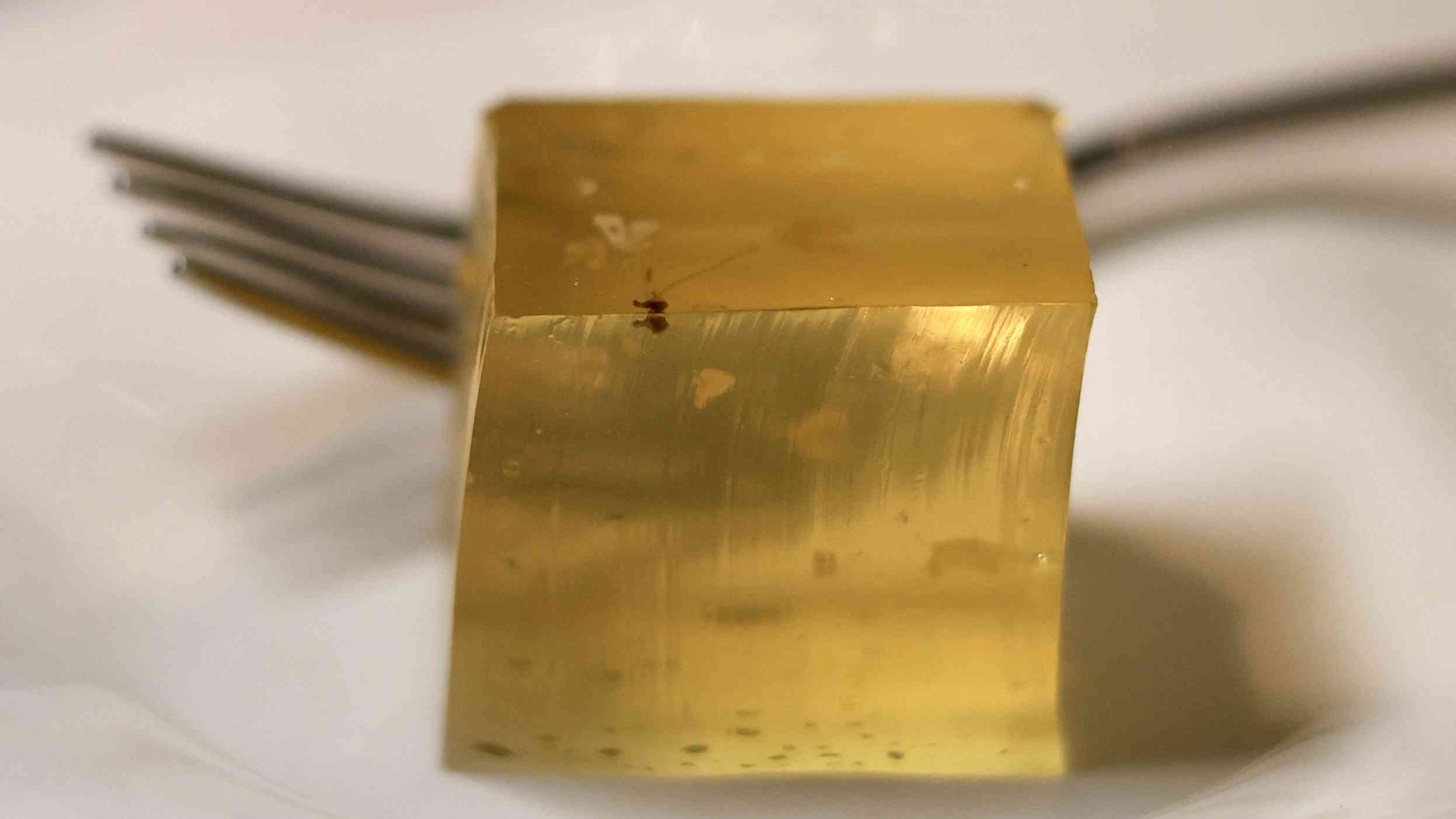 尖東高級中菜廳推出華麗金蠔宴！金蠔酥香焗大響螺、蜜餞金蠔配金蒜 M5 和牛，團年春茗的好選擇