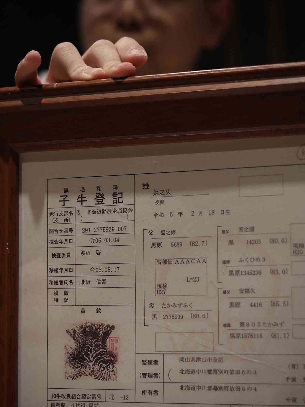 澳門米芝蓮一星餐廳品味割烹夜宴 : 鱧魚天婦羅、毛蟹豆乳火鍋、炸A5黑毛和牛里脊，旬味與清酒的奢華交織