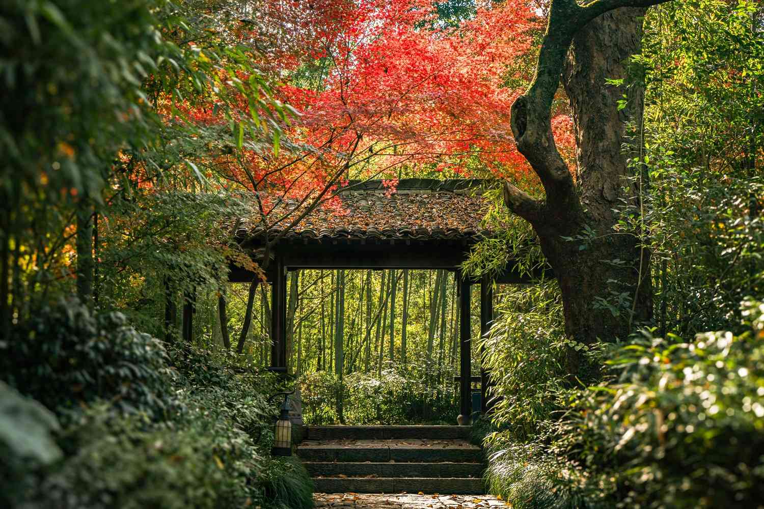 吸一口乾淨純粹的秋氣！從麗江山林、京都庭園到隱秘海島，下榻安縵展開一趟輕奢出走