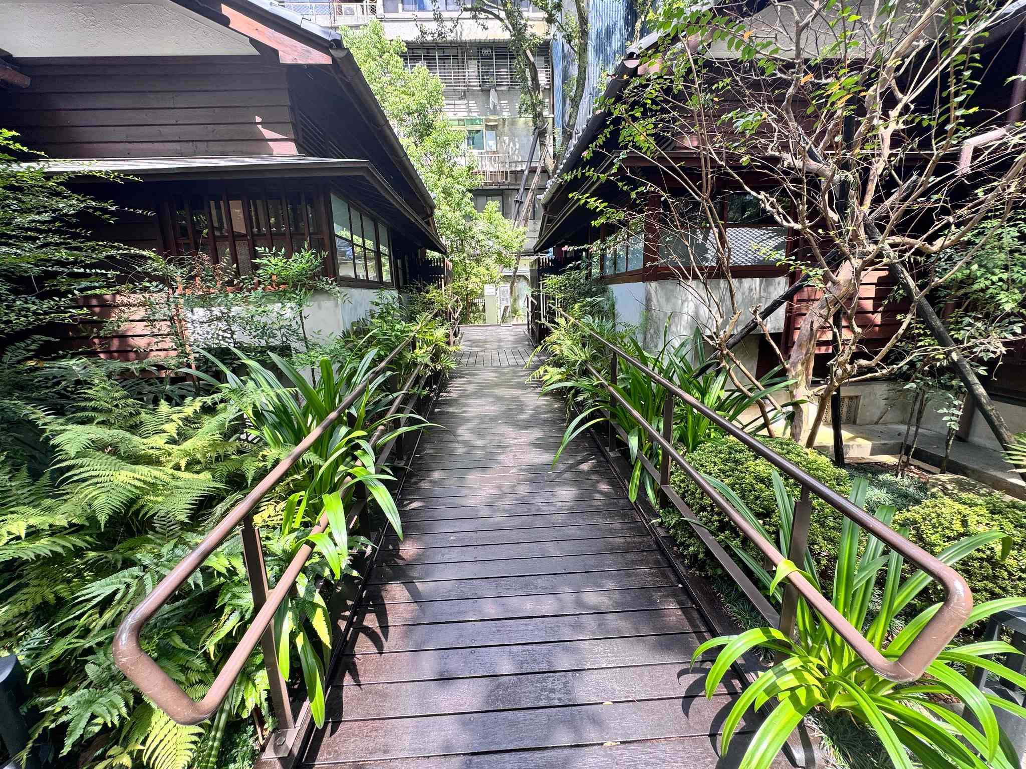 台北日系懷舊文青「小山林」打卡勝地！漫步日治時期町屋群、品味米芝蓮比必登推介素食