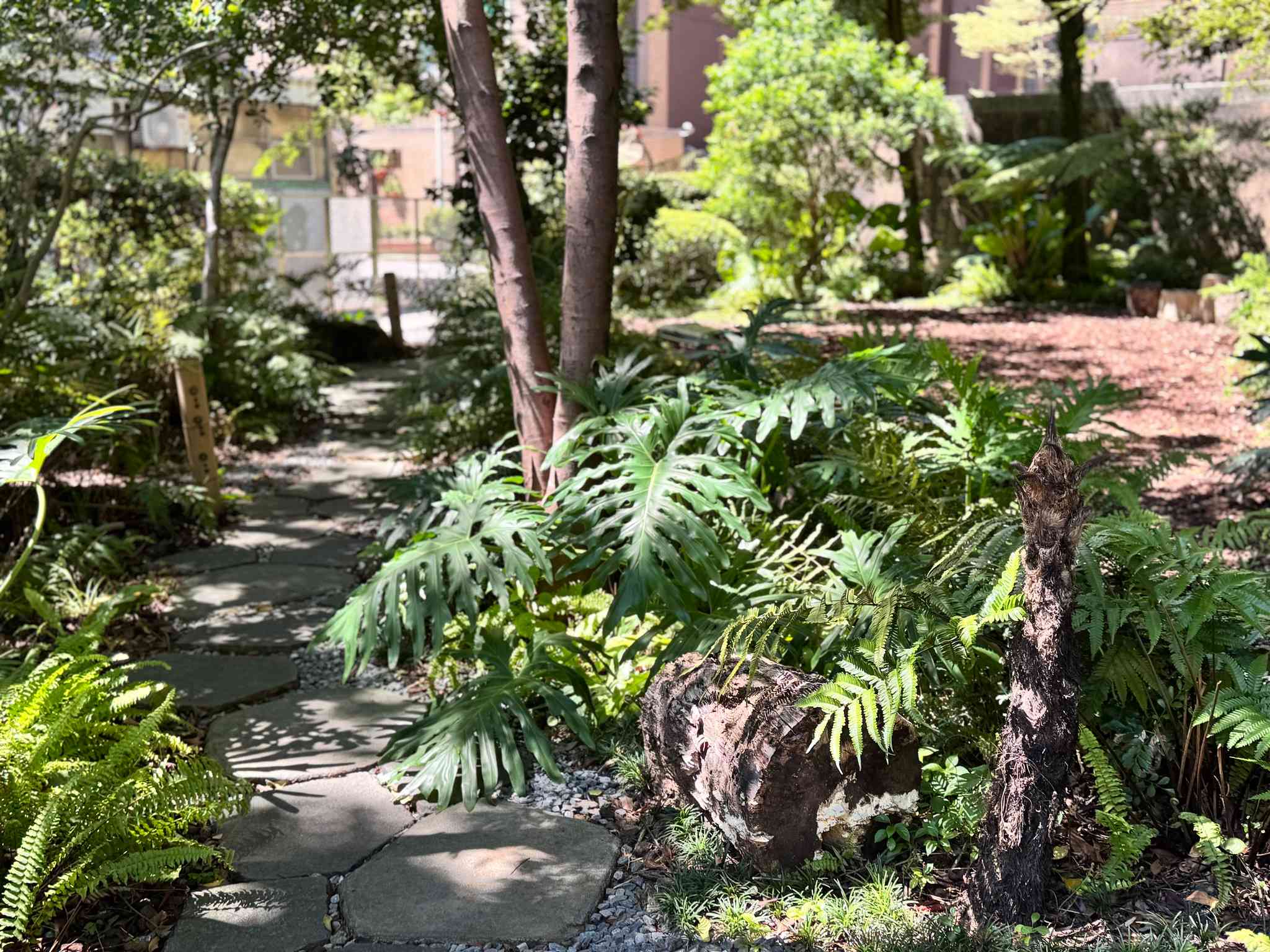 台北日系懷舊文青「小山林」打卡勝地！漫步日治時期町屋群、品味米芝蓮比必登推介素食