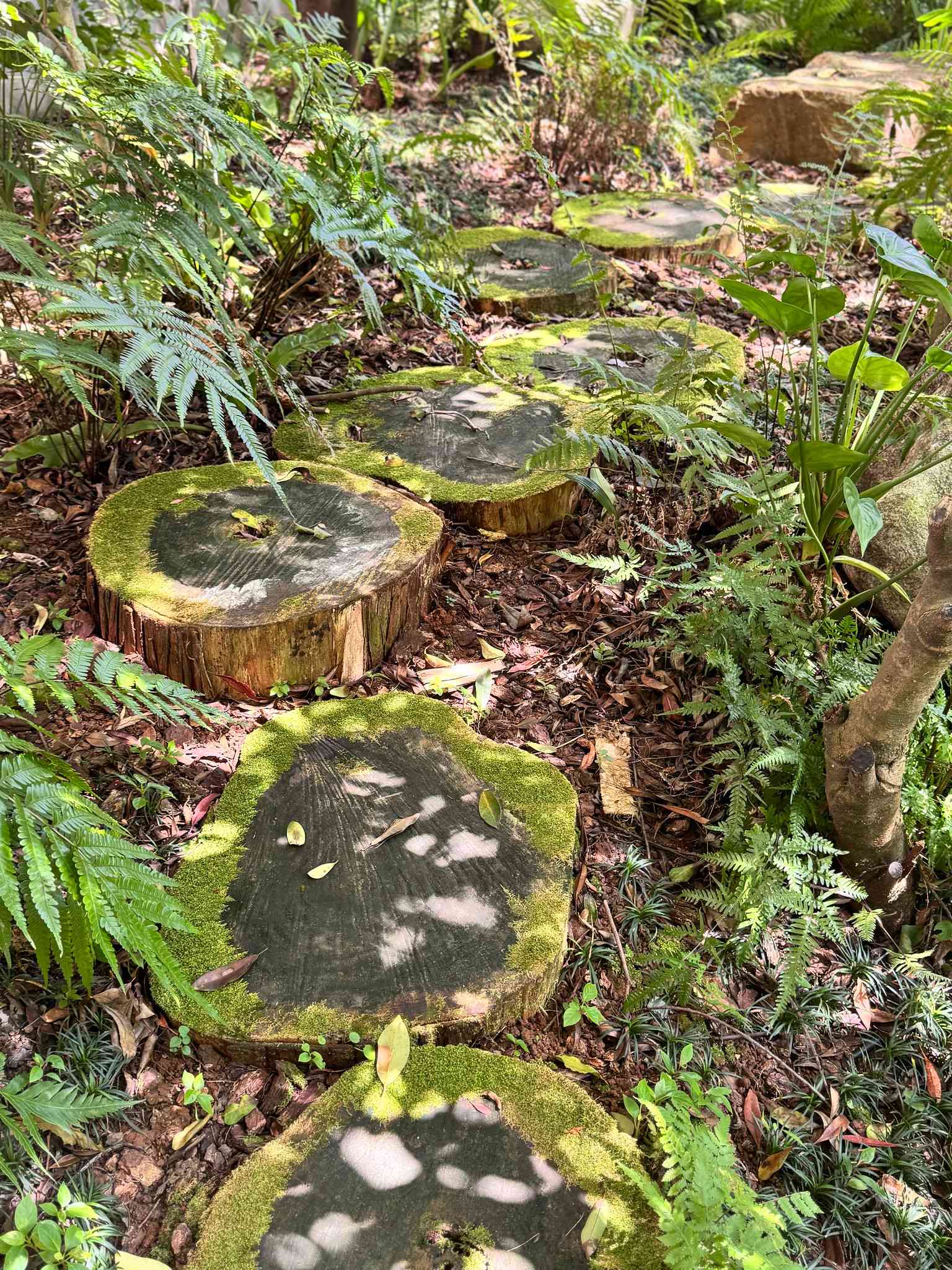 台北日系懷舊文青「小山林」打卡勝地！漫步日治時期町屋群、品味米芝蓮比必登推介素食