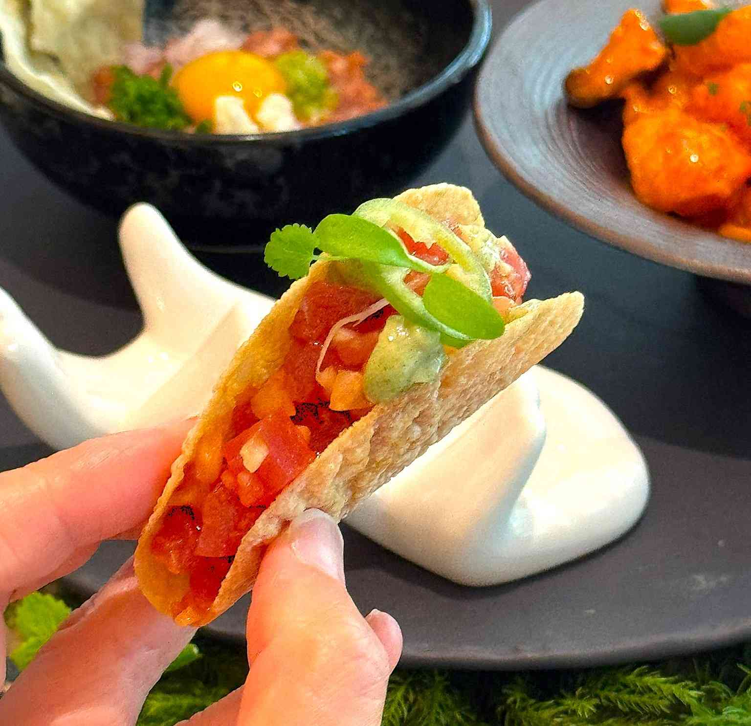 中環Akira Back夢幻玻璃幕牆內的早午餐：AB Tuna Mini Taco、AB Wagyu Tartare，韓日融合藝術饗宴
