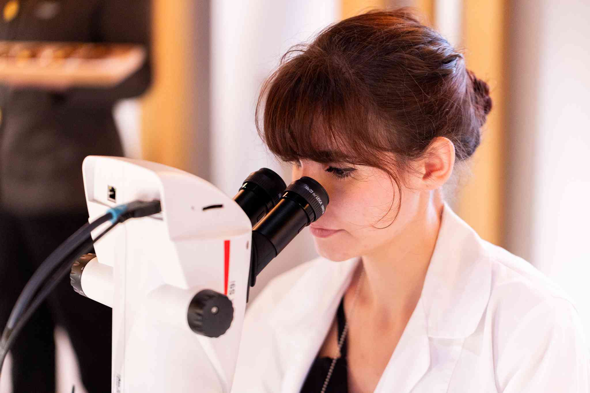 Van Cleef & Arpels珠寶鐘錶展：在花開花落中感受時間，在永恆裡讀懂詩意