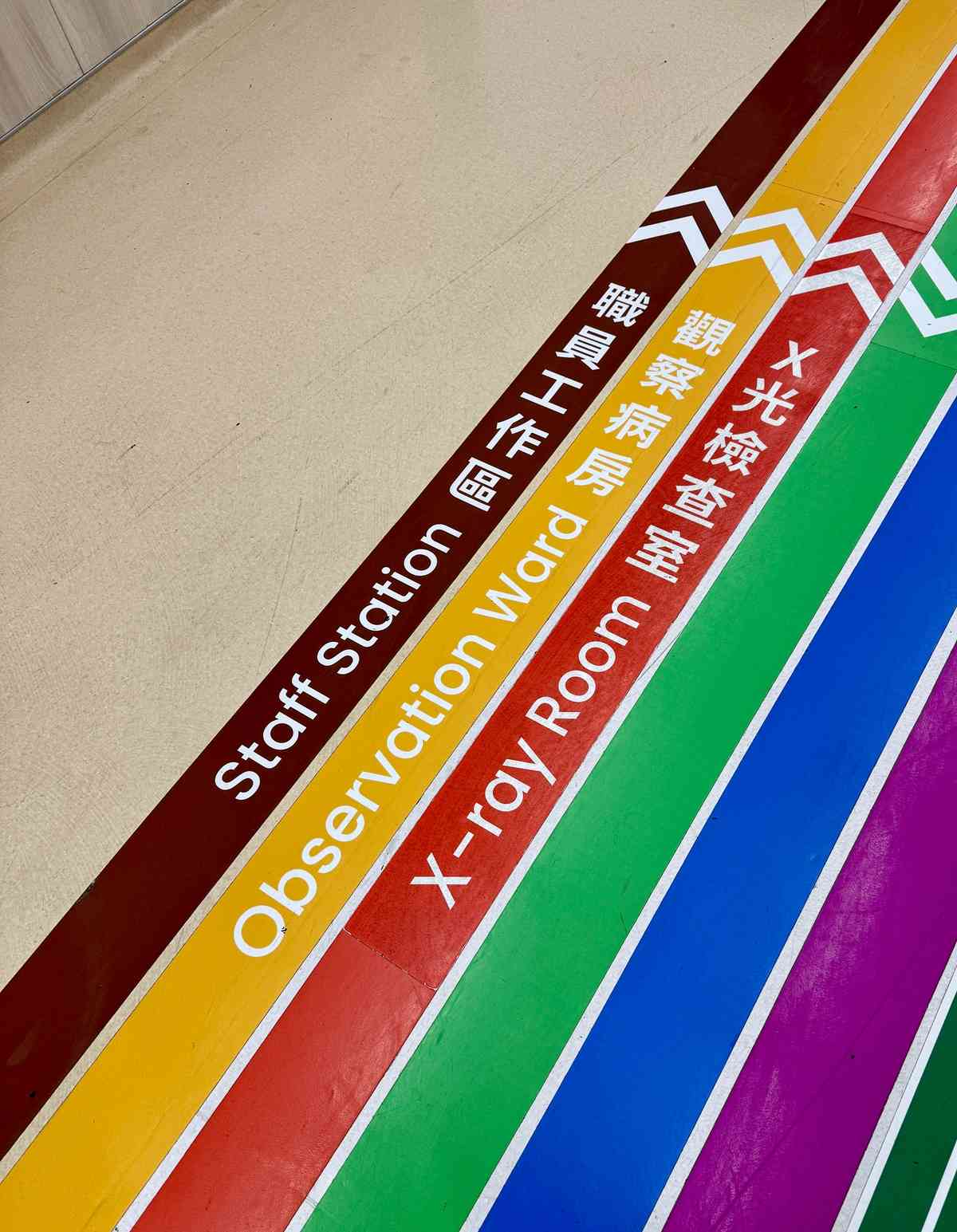 長者食緊咩藥？ 照顧者必修的藥物常識課