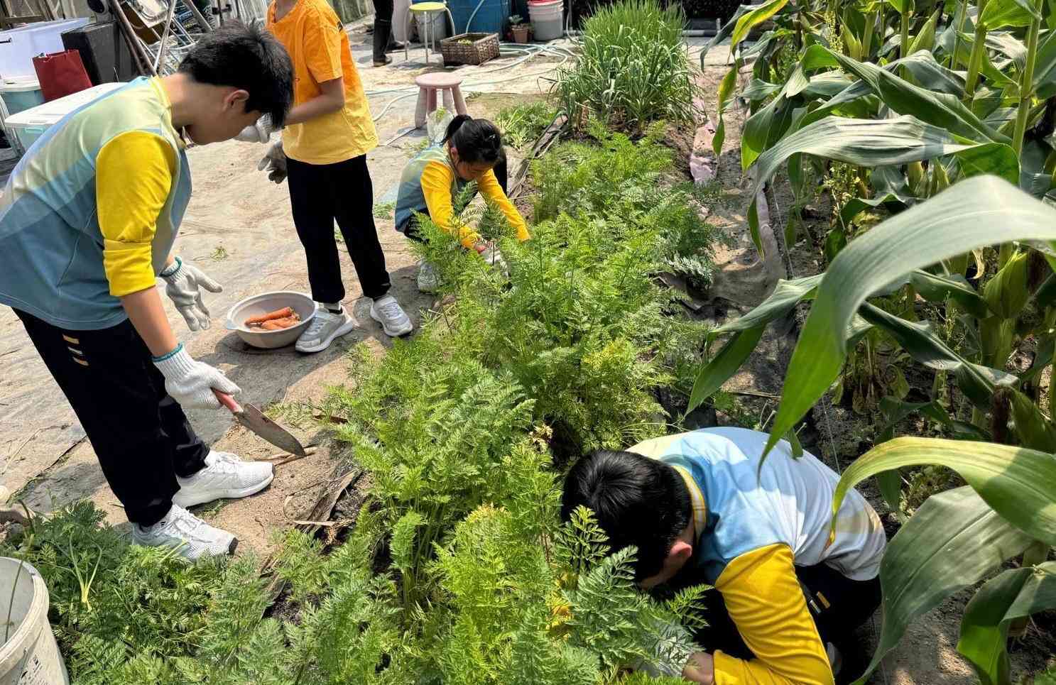 以抗逆力教育守護青少年心理健康 