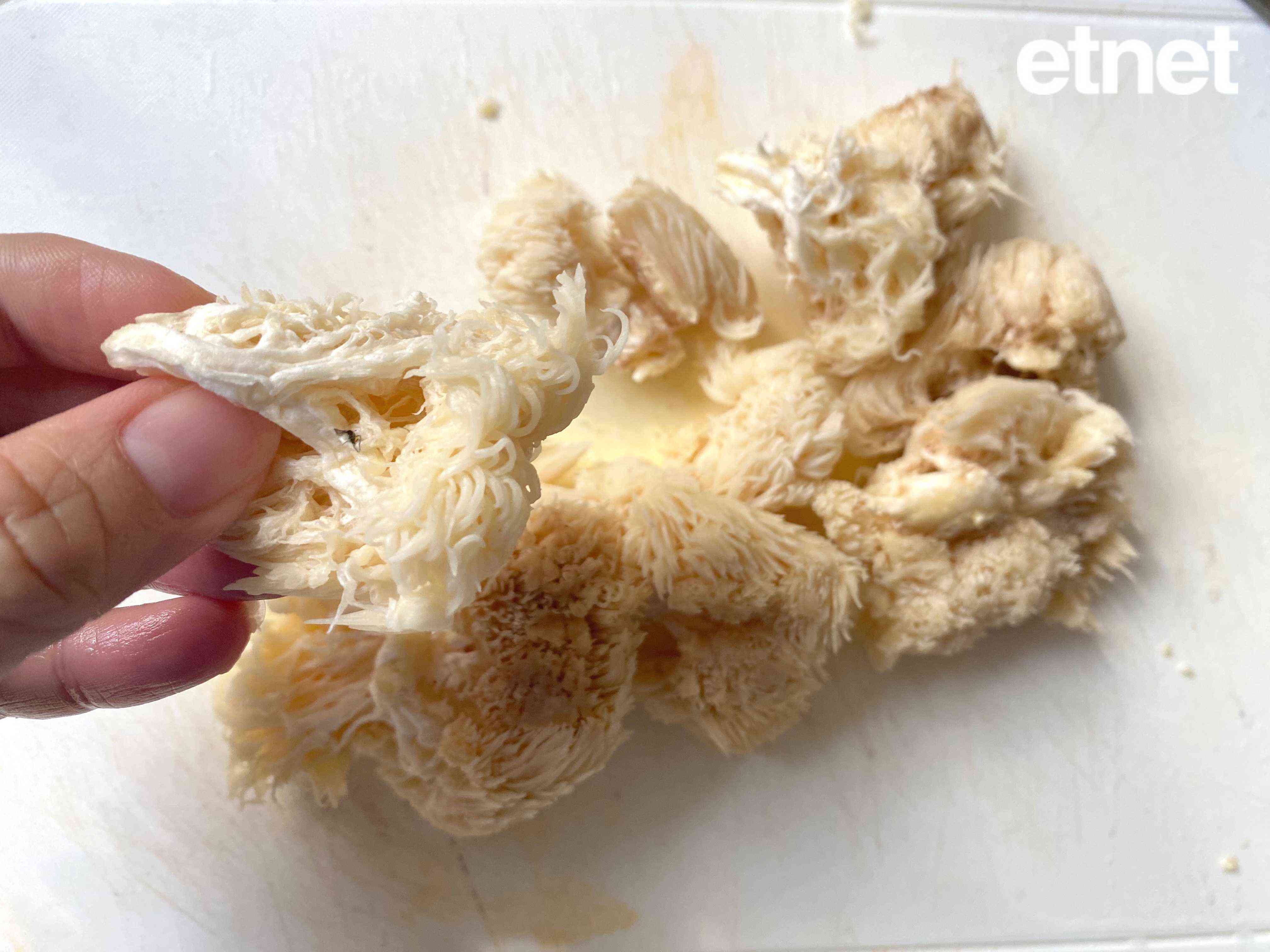 時令素食譜推介：西蘭花炒鮮猴頭菇　新鮮猴頭菇軟滑鮮甜清炒更入味