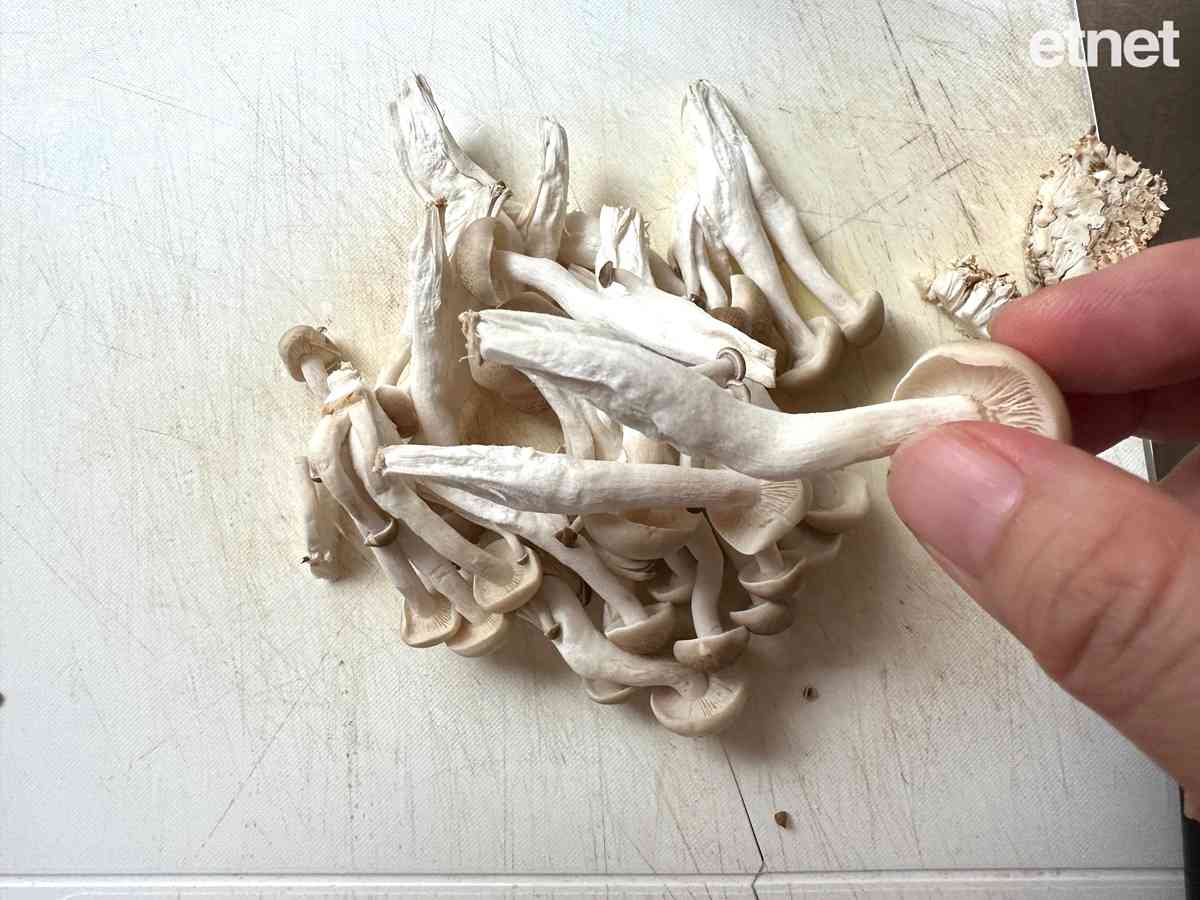 今期節慶素食譜：花開富貴（西蘭花炒木耳本菇芋絲）當團年飯遇上情人節