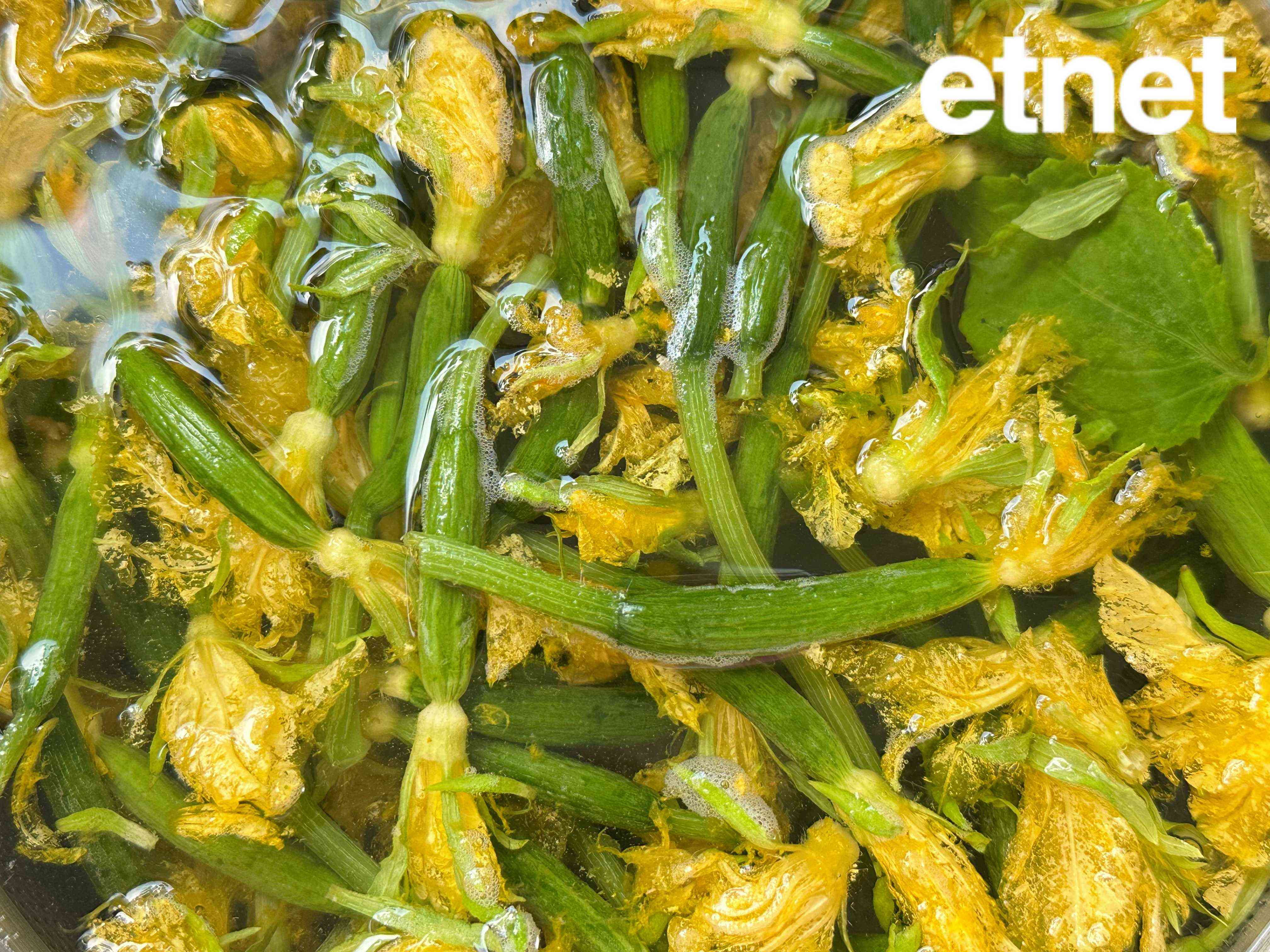 素食譜推薦：甜酸涼拌黃花小青瓜 &nbsp;由嗅覺牽動味覺以花入饌