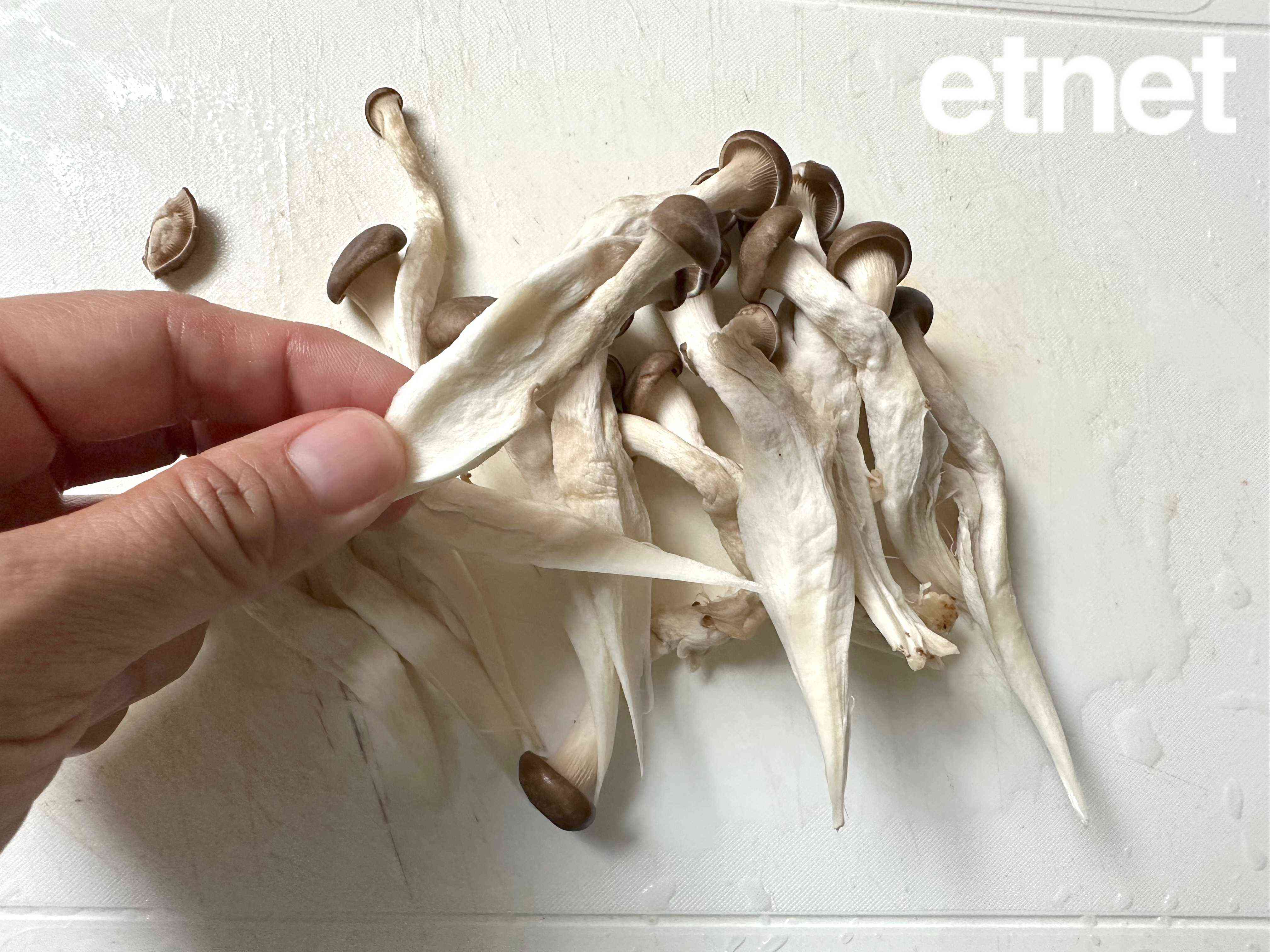 素食譜推薦：赤味噌雜菌炒　走肉菜不可或缺的調味