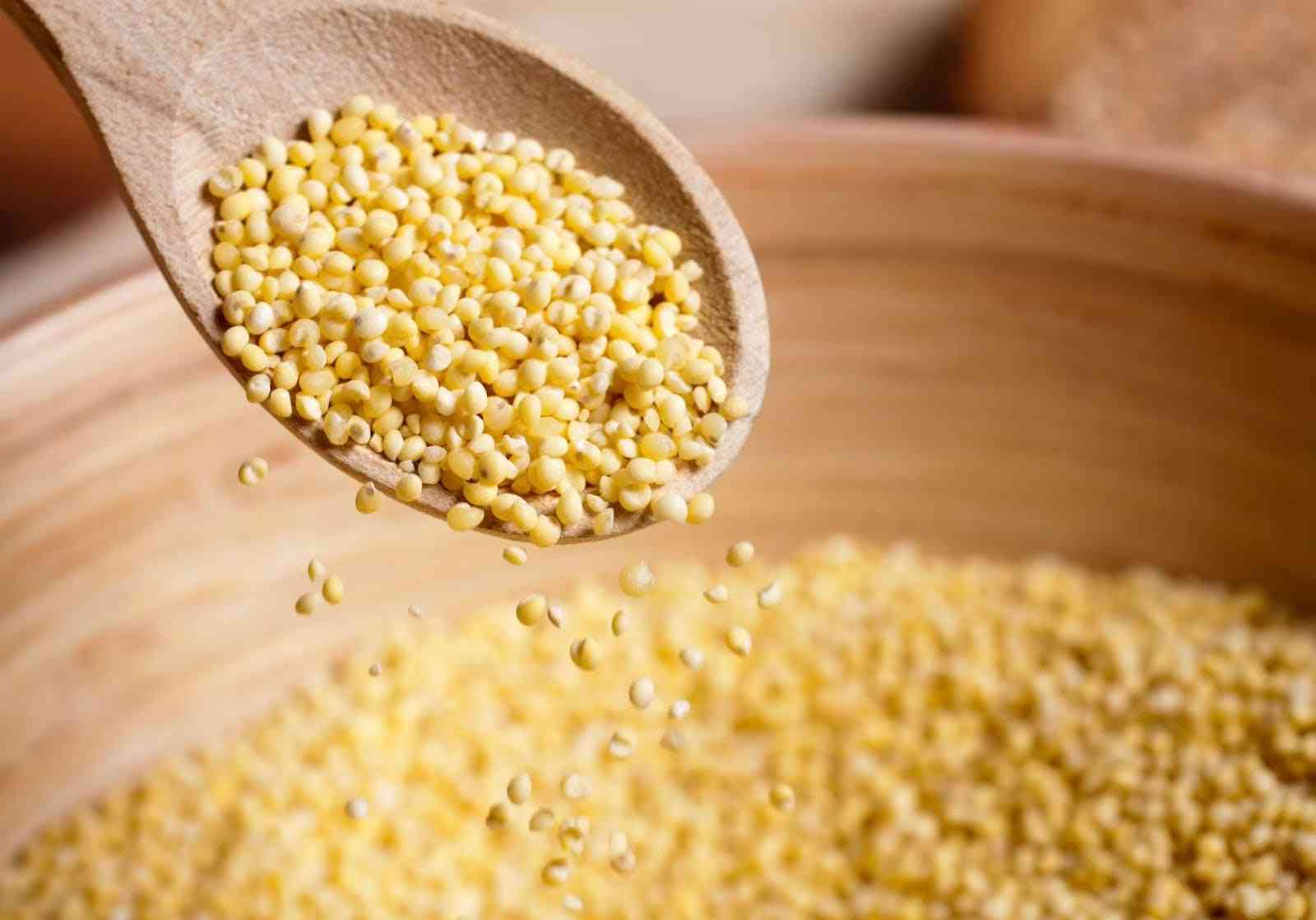 別買錯！Cous cous Vs Millet：中文都是小米，實為兩種不同穀物，營養師拆解3大營養差異