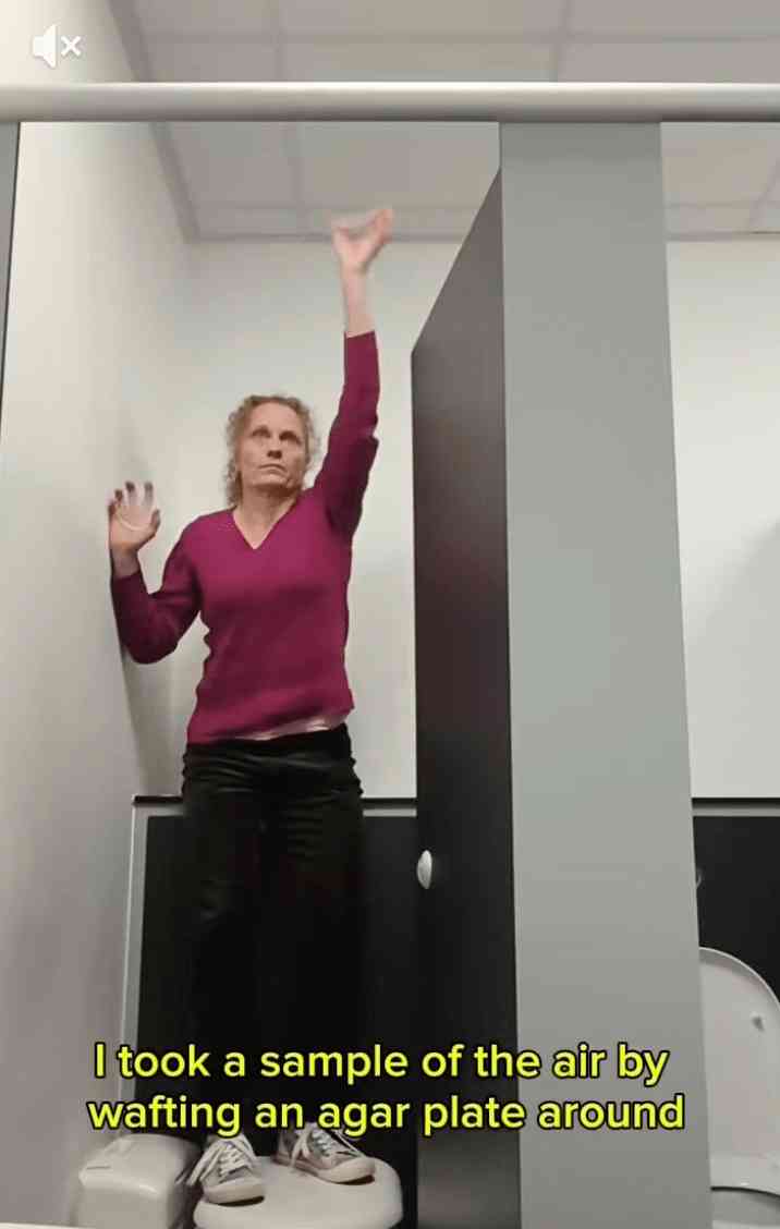 公廁衛生｜公廁烘手機恐怖真相曝光？　科學家揭吹出驚人菌量　用完污糟過未洗手