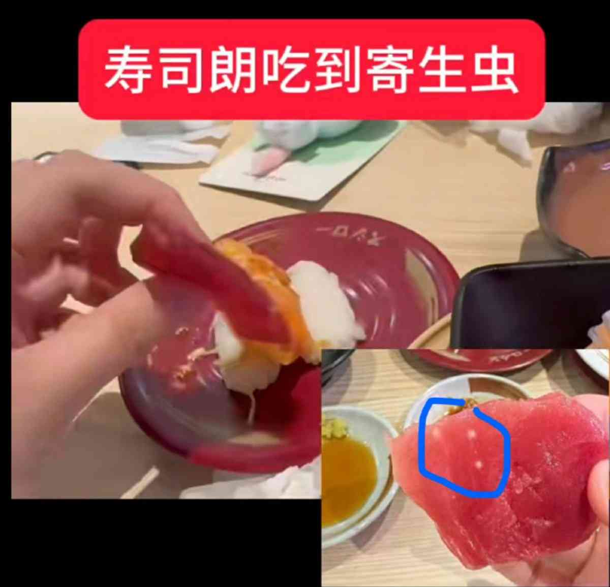 食用安全｜北京壽司郎爆食安風波　魚生被指疑有寄生蟲卵【附減低寄生蟲風險5大方法】
