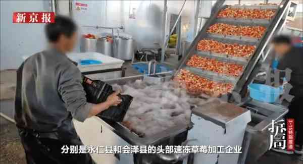 凍乾士多啤梨｜內地士多啤梨凍乾被曝致癌重金屬超標14倍+20種農藥殘留　產業鏈大起底造假成「潛規則」