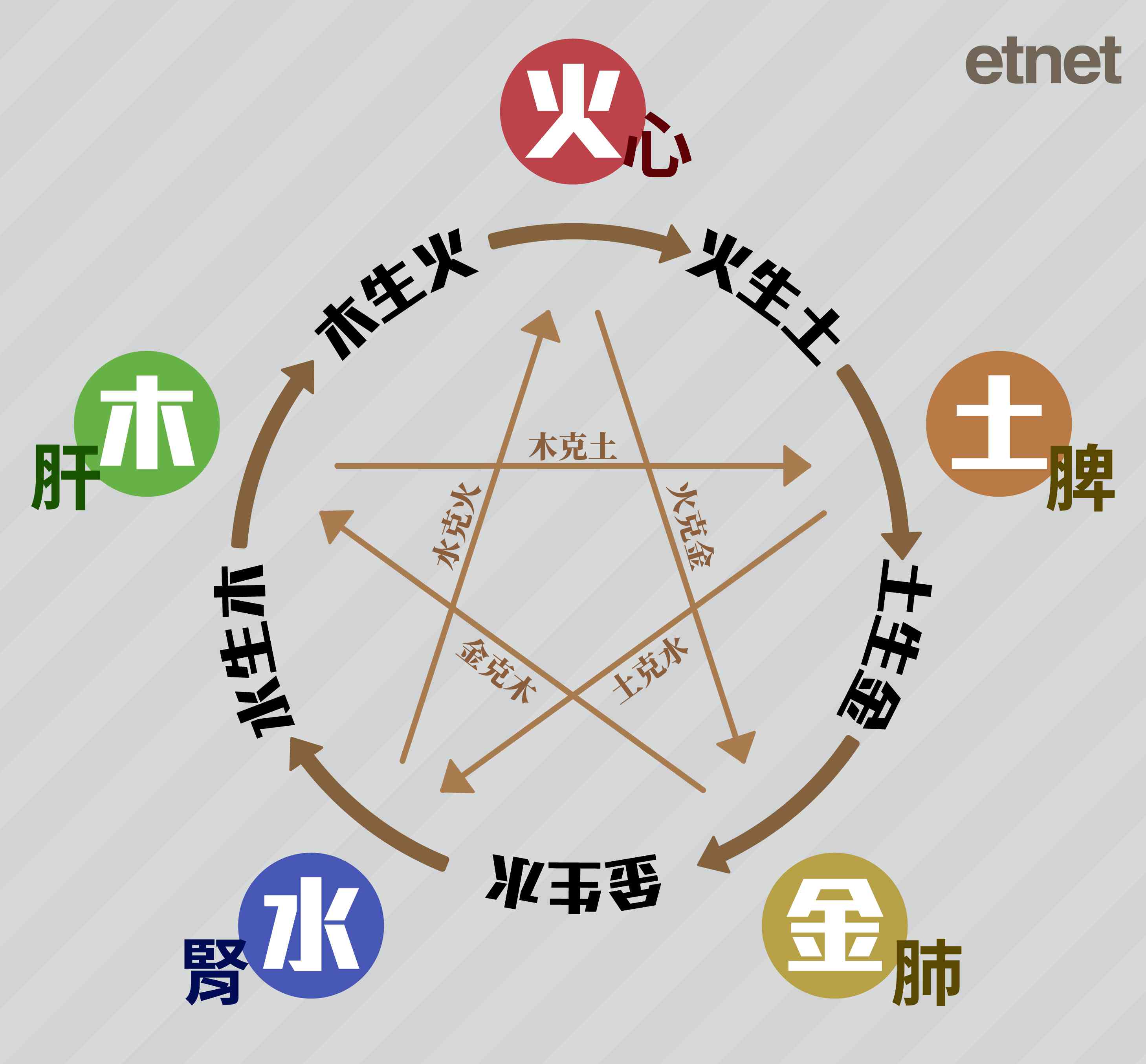 中醫八字五行調理在過敏性鼻炎中的應用：醫案分析（上）