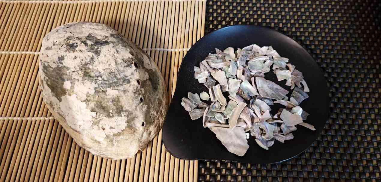 中醫拆解鮑魚功效 │ 養血柔肝滋陰降火，鮑魚殼為中藥石決明清肝明目降血壓