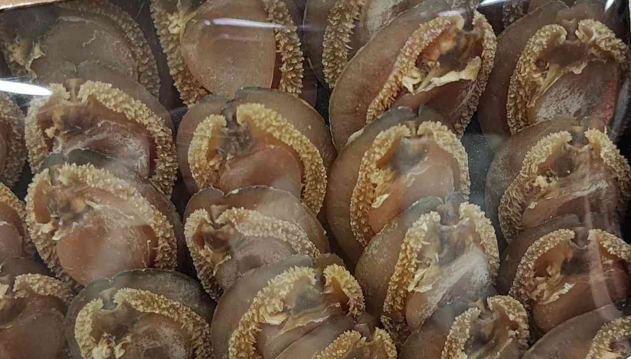 中醫拆解鮑魚功效 │ 養血柔肝滋陰降火，鮑魚殼為中藥石決明清肝明目降血壓