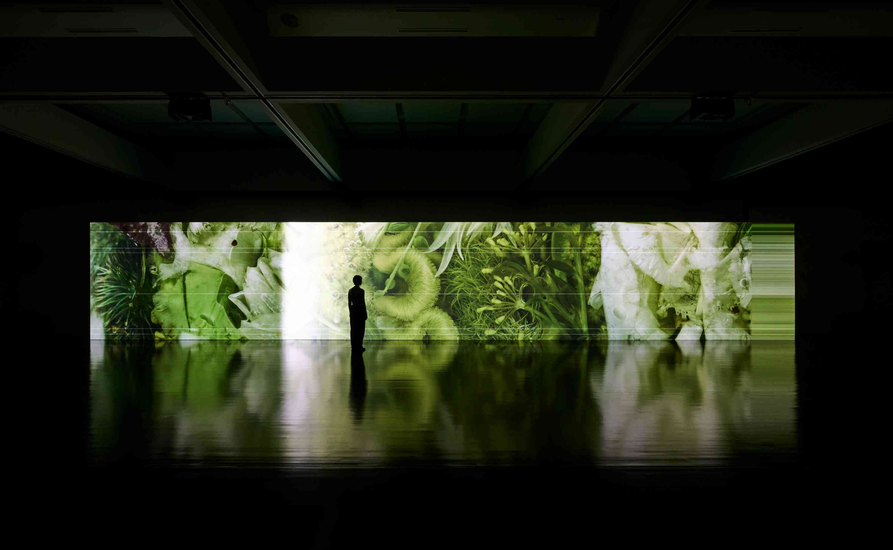 February Art Map：M+坂本龍一《觀音・聽時》、東九壓軸《宇宙到處的聲音》、香港芭蕾舞團《華麗搖滾》