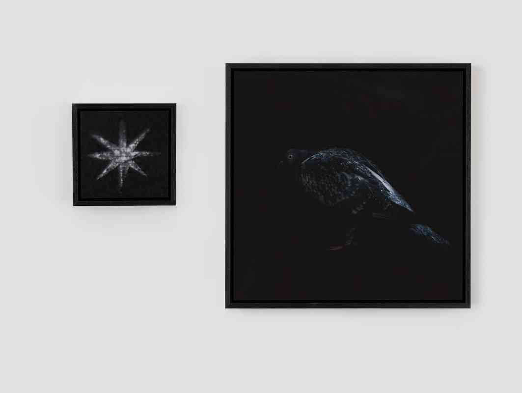 精選五月畫廊展覽:Gallery Exit《啞劇馬之夢》、 SC Gallery《Whisper or Loud》、 Contemporary by Angela Li 《SOMA》 精選五月畫廊展覽:Gallery Exit《啞劇馬之夢》、 SC Gallery《Whisper or Loud》、 Contemporary by Angela Li 《SOMA》