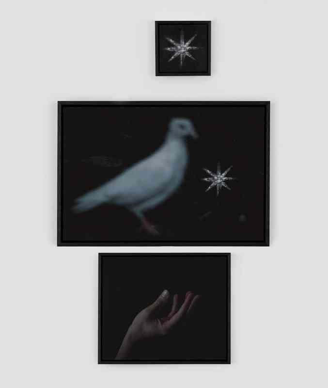 精選五月畫廊展覽:Gallery Exit《啞劇馬之夢》、 SC Gallery《Whisper or Loud》、 Contemporary by Angela Li 《SOMA》 精選五月畫廊展覽:Gallery Exit《啞劇馬之夢》、 SC Gallery《Whisper or Loud》、 Contemporary by Angela Li 《SOMA》