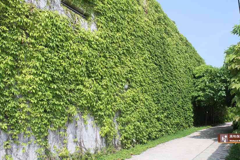 香港建築前輩的4堂課｜馮永基  知所進退