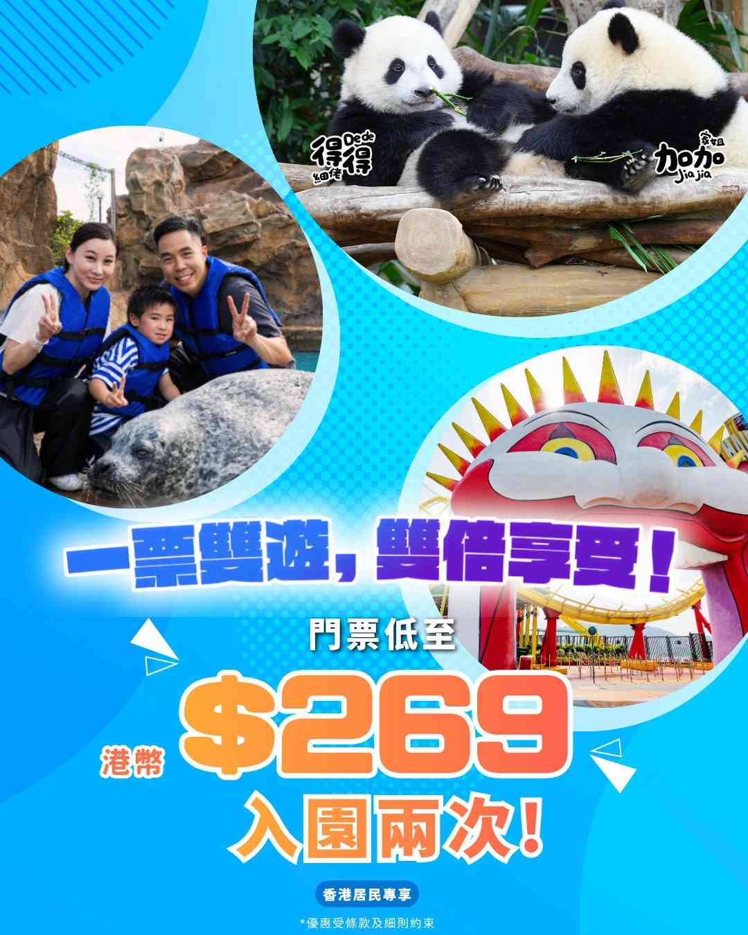 大熊貓龍鳳胎︱加加得得15個月大增磅＋新技能解鎖，海洋公園$269起入場兩次優惠