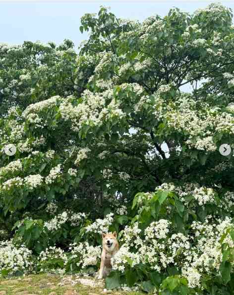 2026年公眾假期︱打工仔請假攻略＋旅遊熱點貼士︰農曆新年請2放9，復活節及清明請3放10