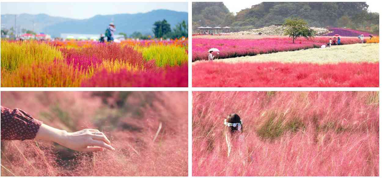 2026年公眾假期︱打工仔請假攻略＋旅遊熱點貼士︰農曆新年請2放9，復活節及清明請3放10