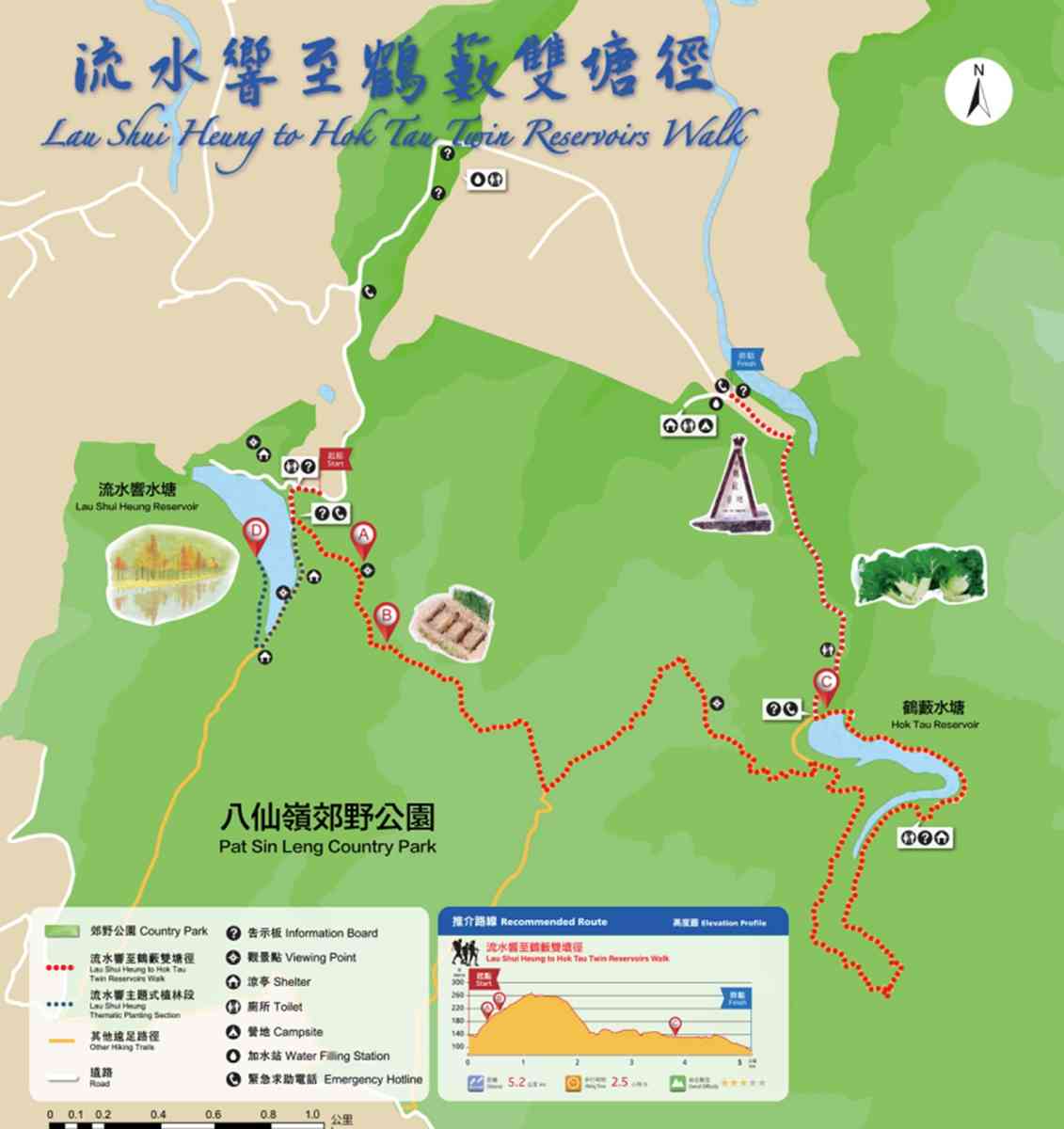 落羽杉季節來了！流水響免費郊野導賞＋交通路線，青衣公園八成轉紅＋北區公園